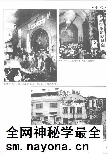 2005-上海通志  第10册.pdf电子版_上海市志插图3