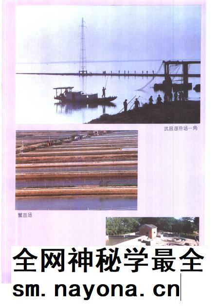 1995版望江县志.pdf电子版_安徽省志插图5 1995版望江县志.pdf电子版_安徽省志插图5