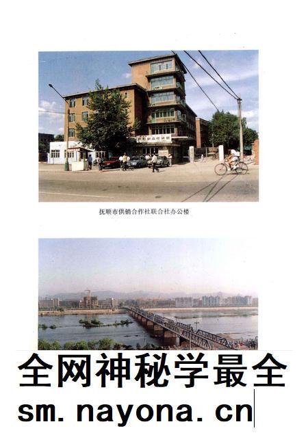 1993-抚顺市供销合作社志.pdf电子版_辽宁省志插图4