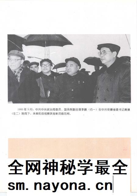 1994版阜阳县志.pdf电子版_安徽省志插图2