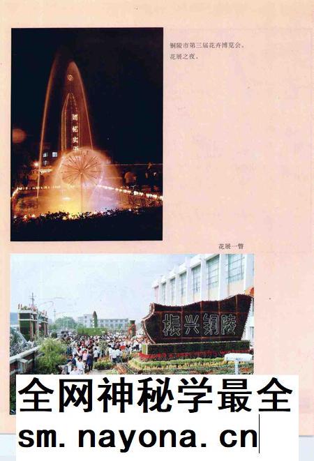 1993版铜陵年鉴  1992.pdf电子版_安徽省志插图3