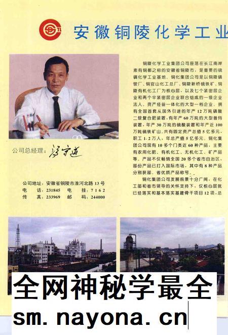 1993版铜陵年鉴  1992.pdf电子版_安徽省志插图5