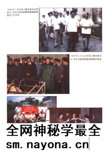 1994-嘉定县畜牧水产局志.pdf电子版_上海市志插图4 1994-嘉定县畜牧水产局志.pdf电子版_上海市志插图4