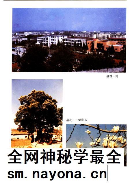 1996版怀宁县志.pdf电子版_安徽省志插图3