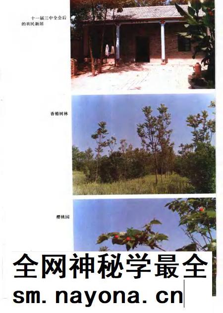 1993版太和县志.pdf电子版_安徽省志插图5