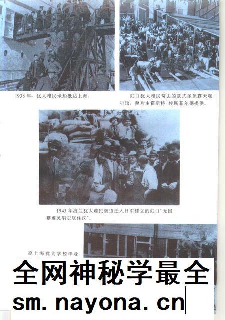 1995-上海文史资料选辑  第78辑  犹太人忆上海.pdf电子版_上海市志插图2