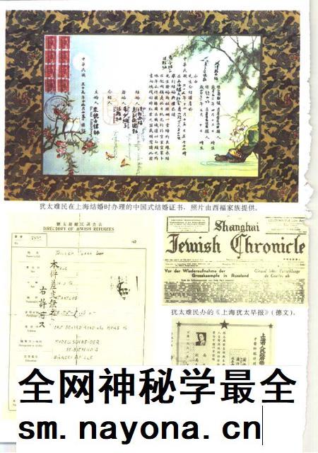 1995-上海文史资料选辑  第78辑  犹太人忆上海.pdf电子版_上海市志插图3
