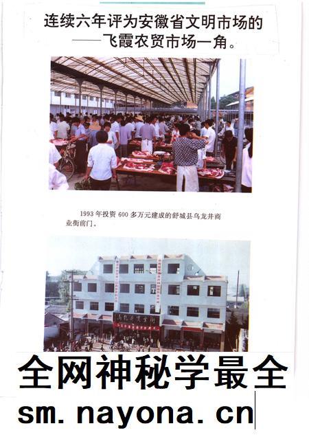 1995版舒城县工商行政管理志.pdf电子版_安徽省志插图5 1995版舒城县工商行政管理志.pdf电子版_安徽省志插图5