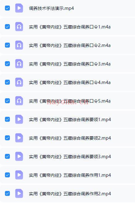 《移精变气 五藏综合调养技术 实用黄帝内经》视频11集