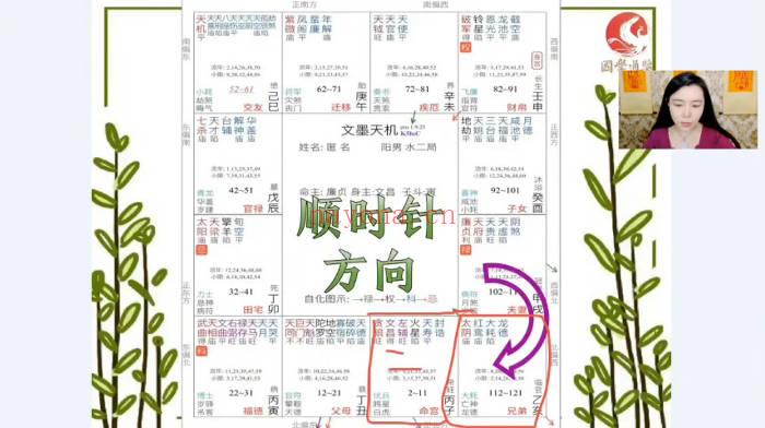 清合《快速了解紫微》视频课11集