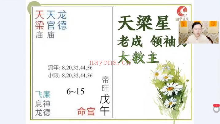 清合《快速了解紫微》视频课11集