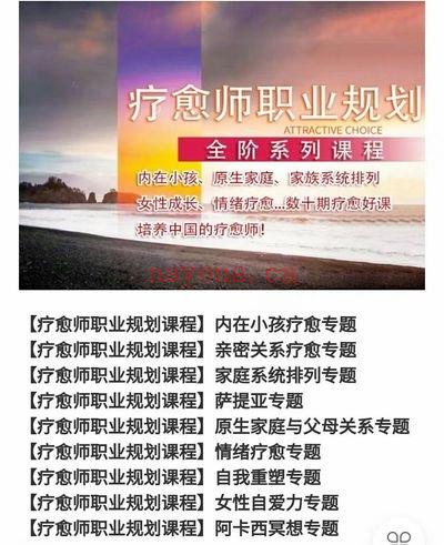 安珊【私人定制高阶课程】疗愈师职业规划课程：培养中国的疗愈师 合集