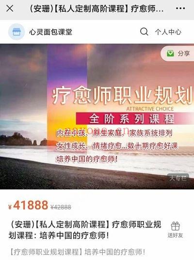 安珊【私人定制高阶课程】疗愈师职业规划课程：培养中国的疗愈师 合集