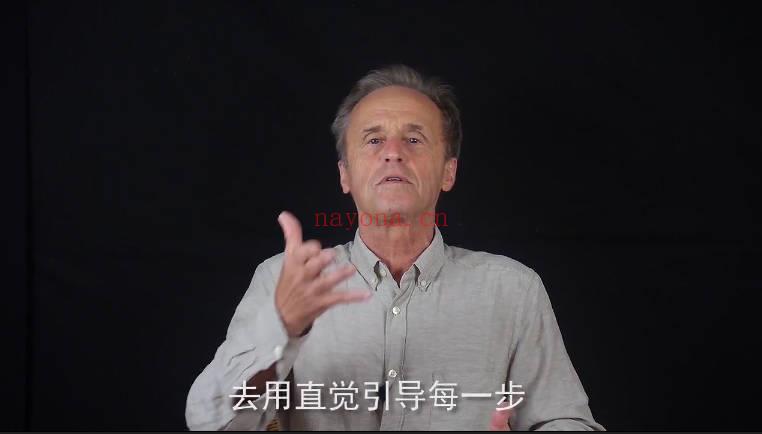 安珊【私人定制高阶课程】疗愈师职业规划课程：培养中国的疗愈师 合集