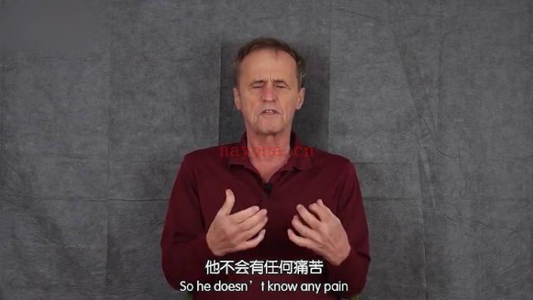 安珊【私人定制高阶课程】疗愈师职业规划课程：培养中国的疗愈师 合集