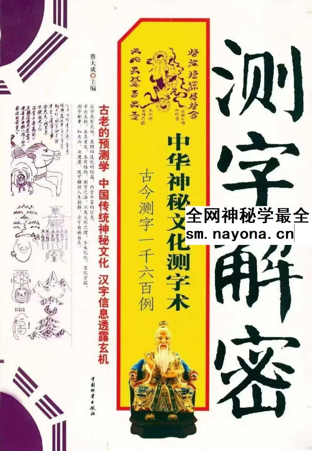 蔡大成《测字解密》中华神秘文化测字术 古今测字一千六百例384页