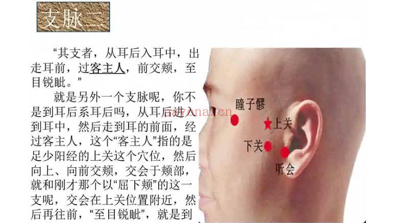 大诚中医 程凯《程门解经专栏》视频55集
