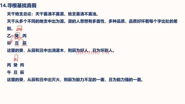 照明居士《人与时空学高级班》四柱八字教学视频24集