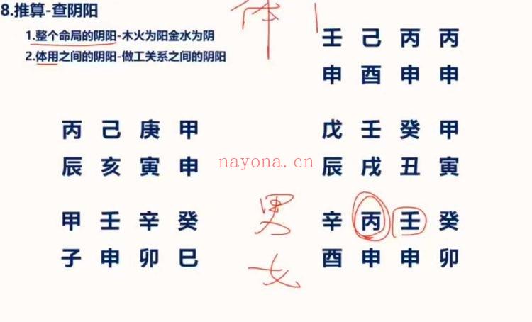 照明居士《人与时空学高级班》四柱八字教学视频24集