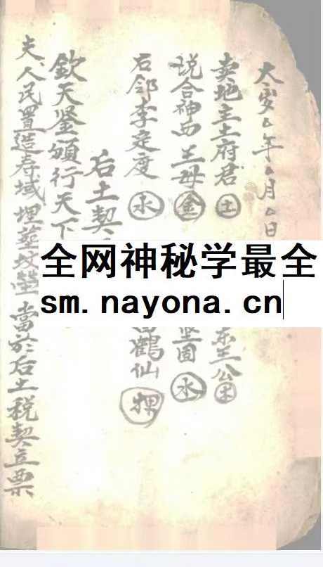 《起坟还山退契书》41页
