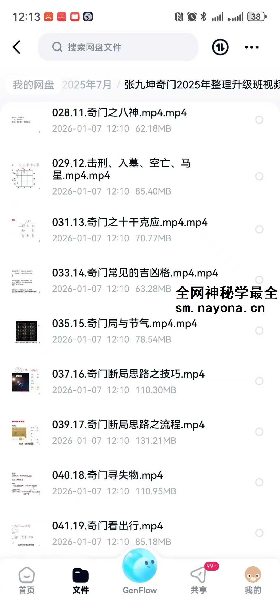 张九坤奇门2025年整理升级班37集视频+电子资料