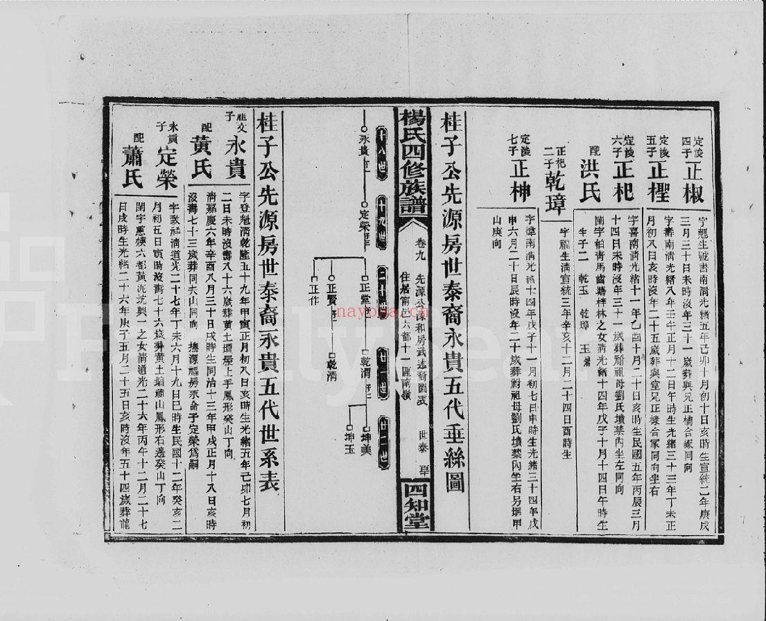 杨氏四修族谱（犹他州藏湖南省图书馆藏本）共2个文件35册