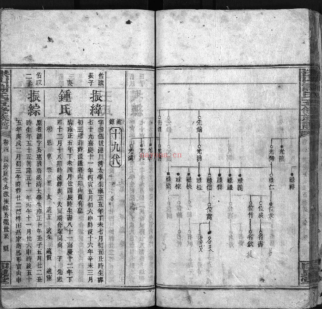 洪山谢氏五修族谱（犹他州藏湖南省图书馆藏本）共25册