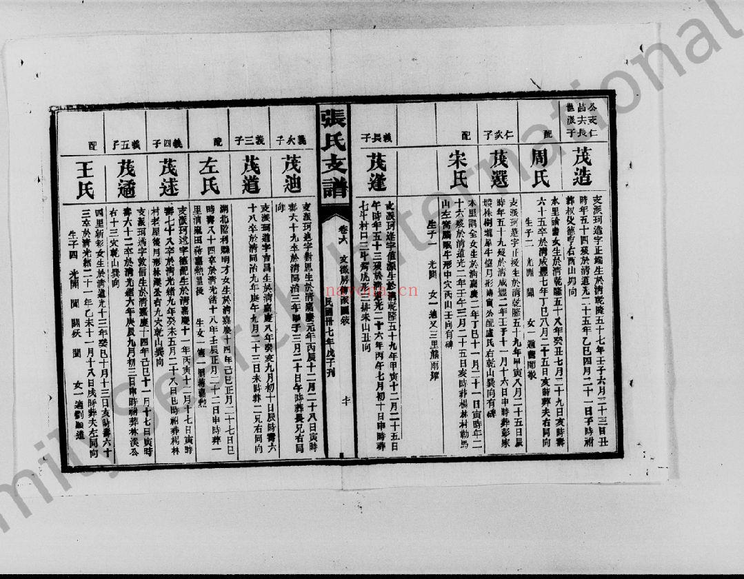 张氏庆云公房支谱（犹他州藏湖南省图书馆藏本）共9册