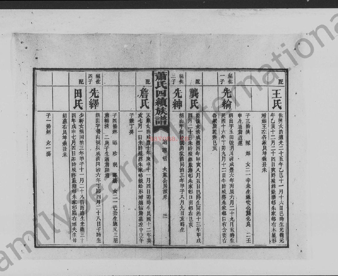 澬阳萧氏族谱(犹他州藏湖南省图书馆藏本)共5个文件50册