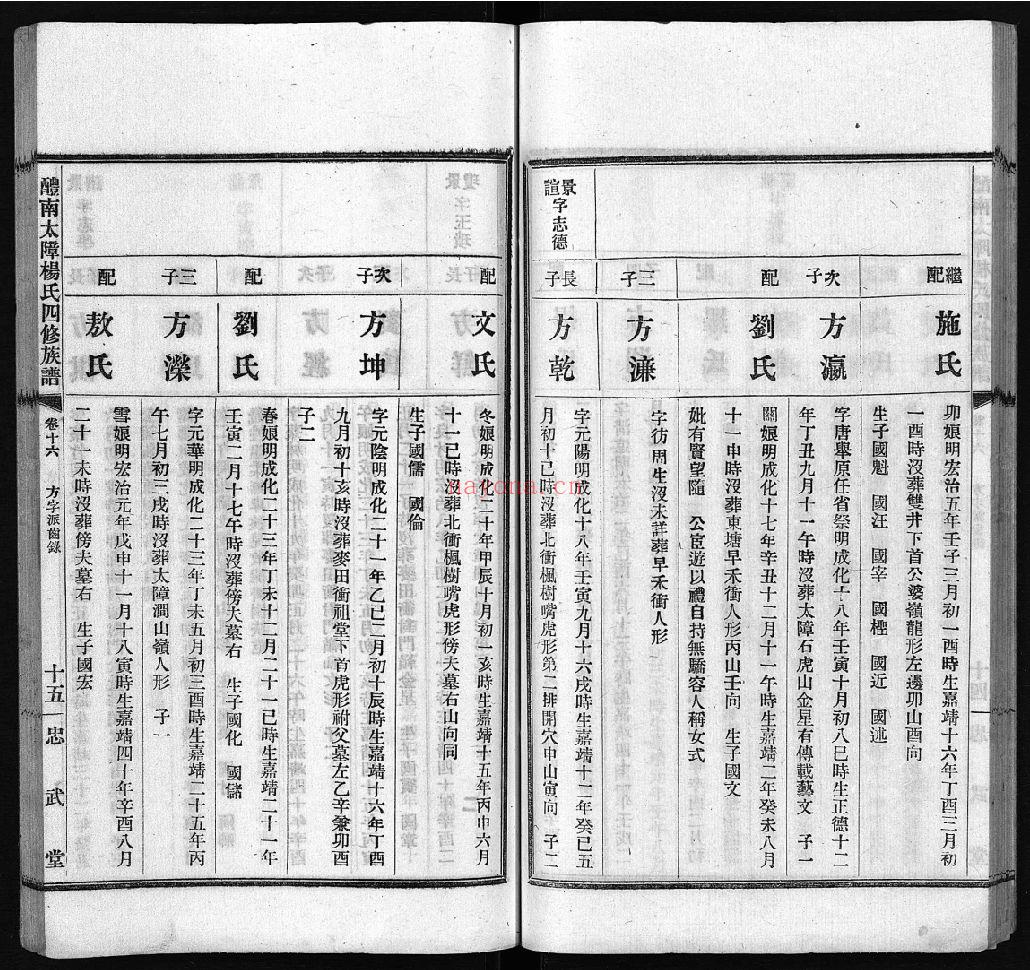 醴南太障杨氏四修族谱(犹他州藏湖南省图书馆藏本)共46册