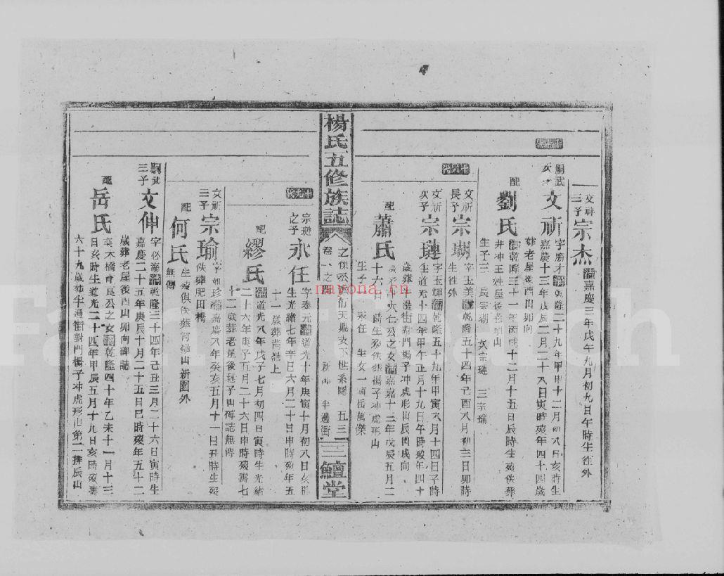 杨氏五修族志(犹他州藏湖南省图书馆藏本)共4个文件41册