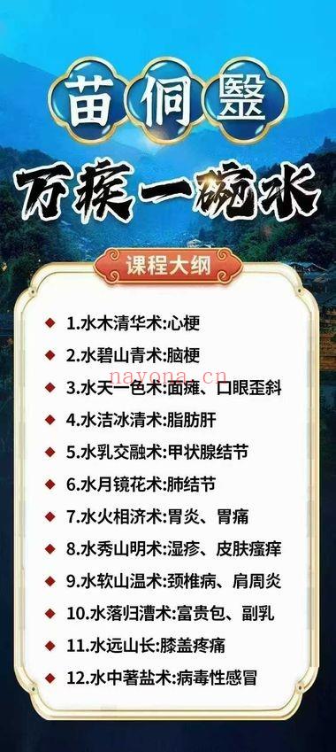 天壹老师 千年苗侗医传承《万疾一碗水》视频12集