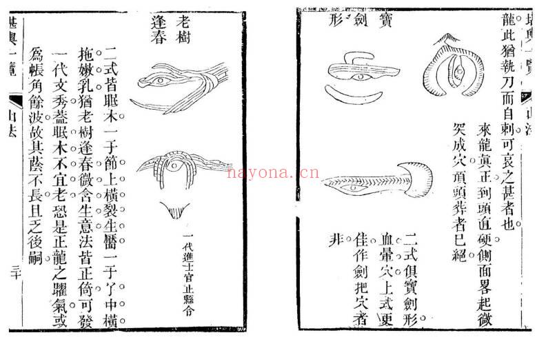 孙竹田 太平山人《堪舆一览》全四卷 古本193双页.PDF电子版