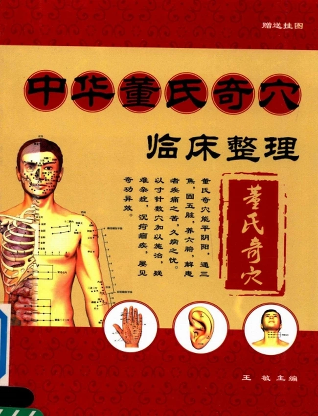 中华董氏奇穴临床整理插图 中华董氏奇穴临床整理插图