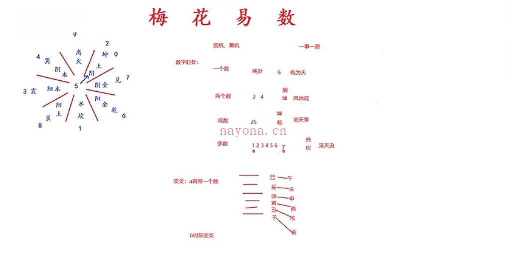 上清阁《梅花易数课》28集视频课