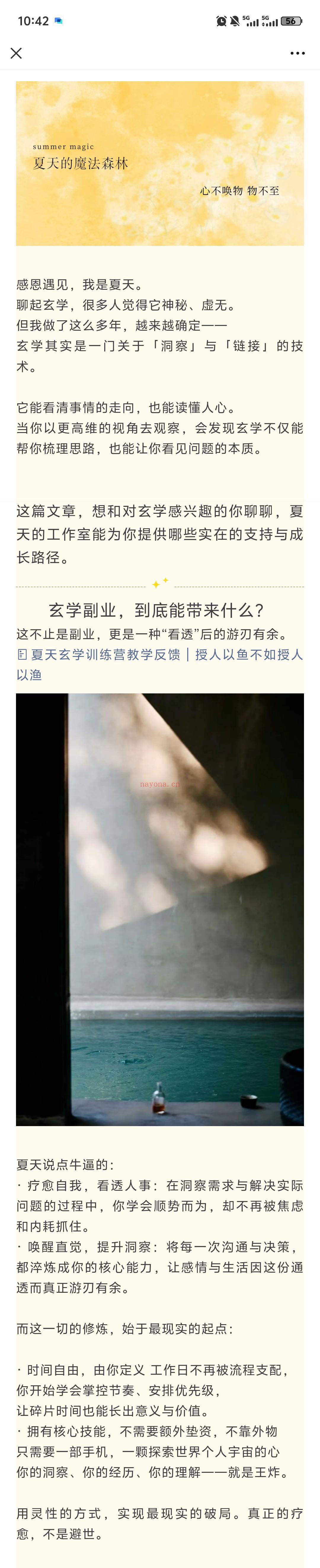 夏天玄学训练营|洞察命运,走向丰收