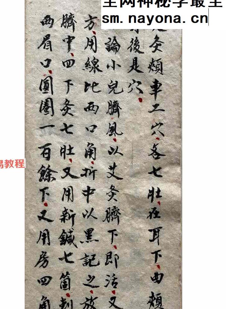 苗医古籍《苗族药功秘传》.pdf 45页