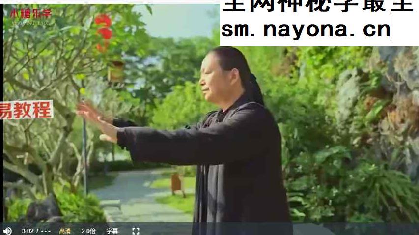 【武当秘传】42天扶正固本_养生太极炼气营 视频+课件