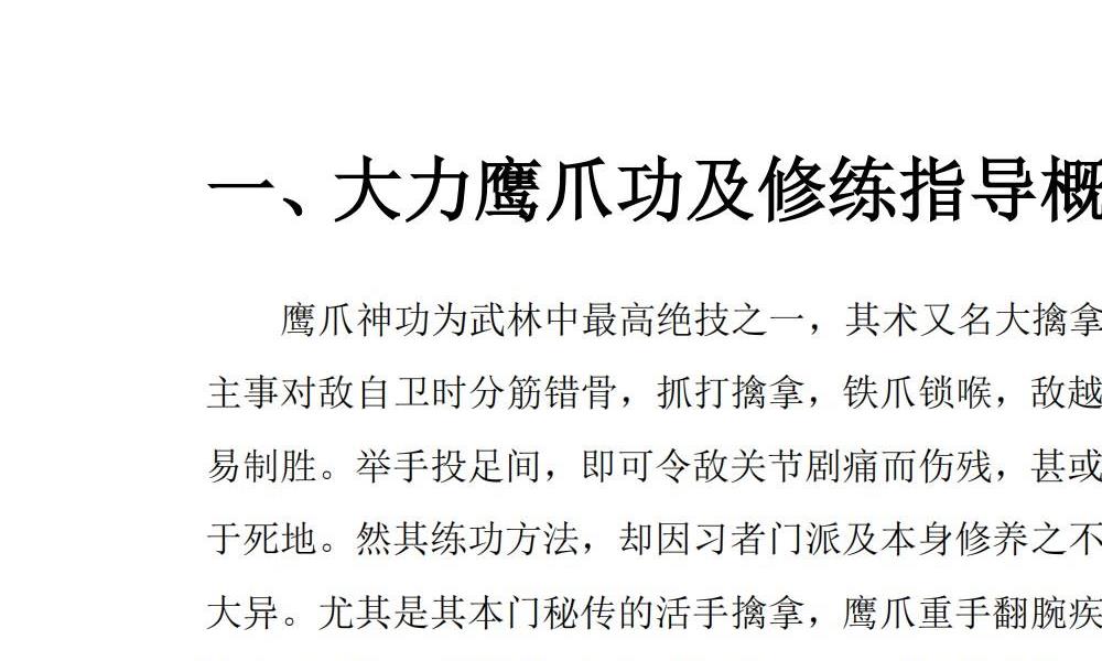 陈子正大力鹰爪功加指导手册88页电子版 高端法本