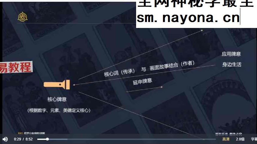 亚洲洛塔协会潘子仲特训基础+进阶+技巧篇 三套视频