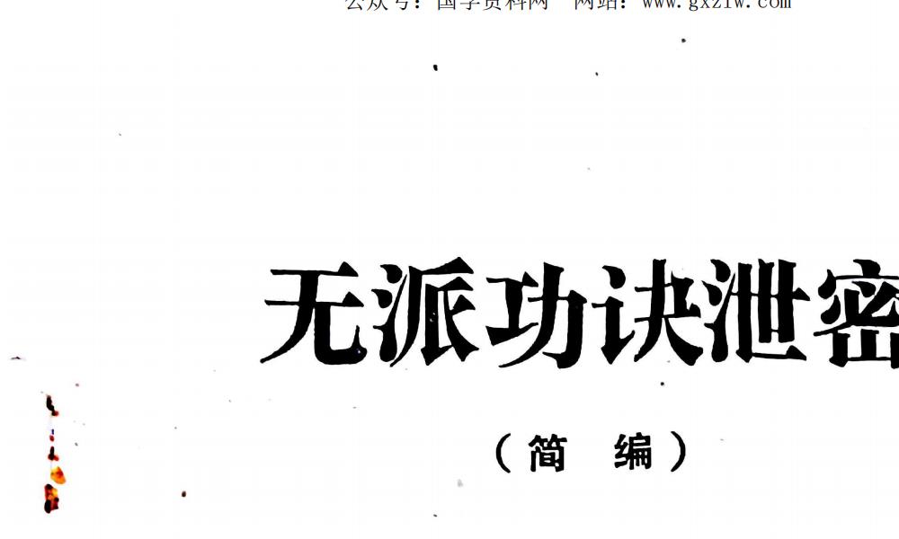 无派功理功法集萃篇及无派功诀泄密两册200多页电子版 高端法本