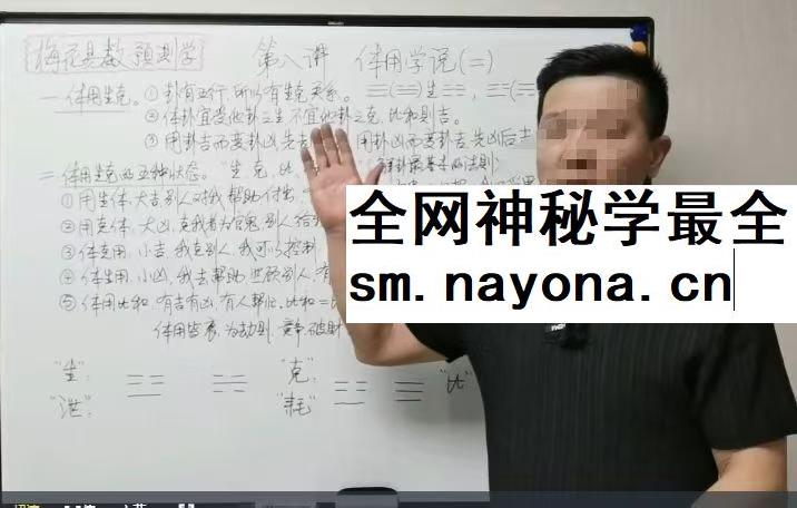 张老师讲梅花 23集视频