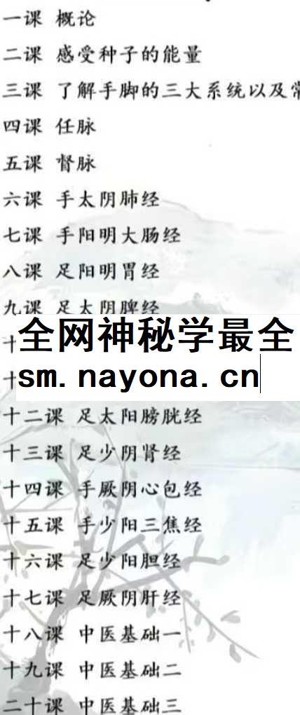 方寸山 太极对应手贴课 20节音频