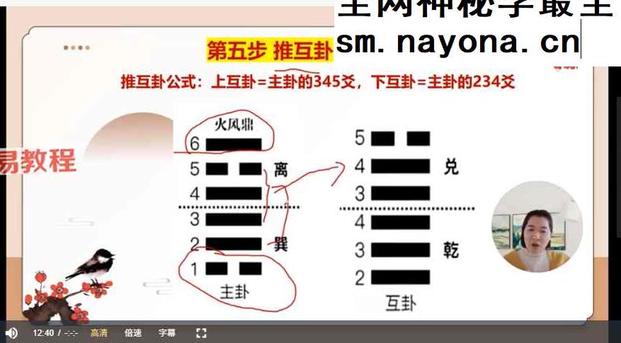 如是禅说梅花易数视频30集