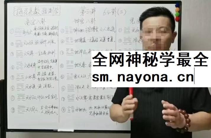 张老师讲梅花 23集视频