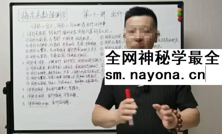 张老师讲梅花 23集视频