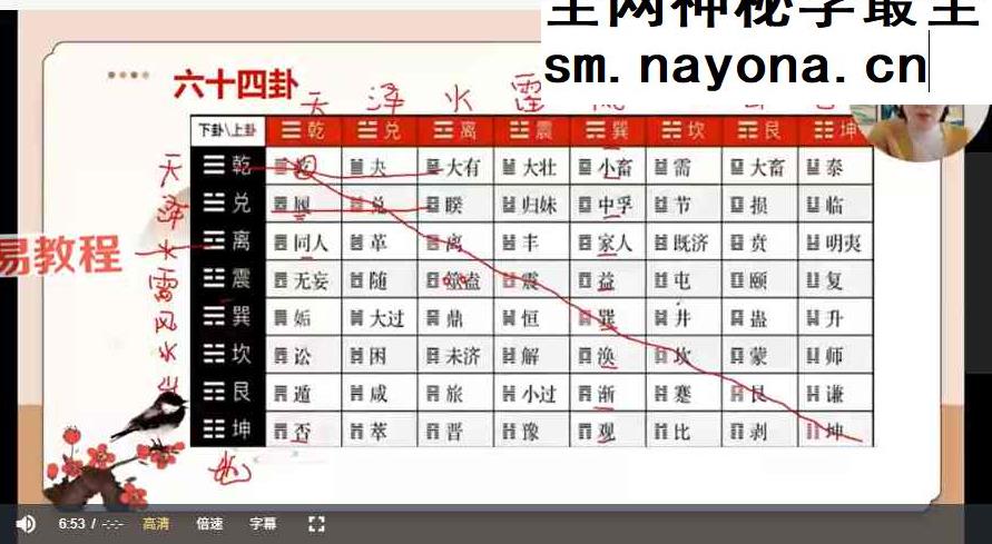 如是禅说梅花易数视频30集