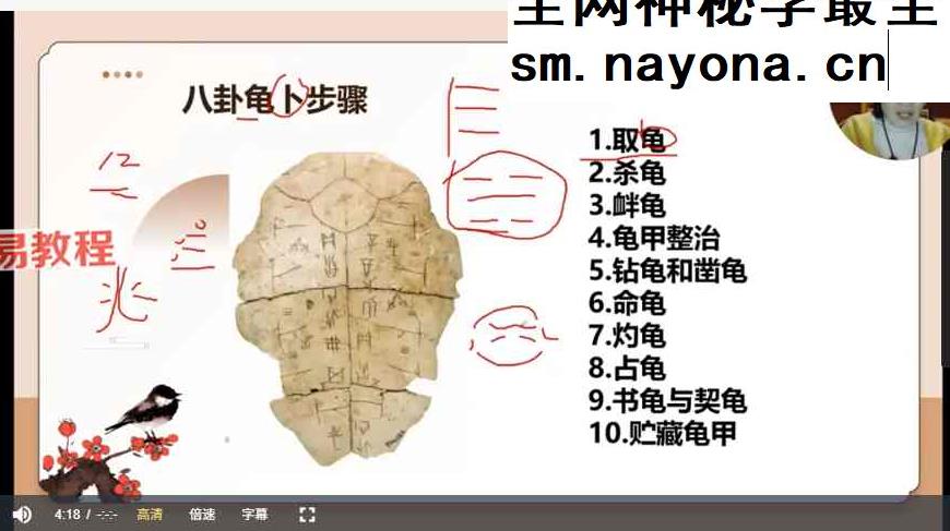 如是禅说梅花易数视频30集