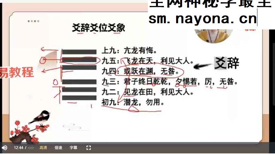 如是禅说梅花易数视频30集