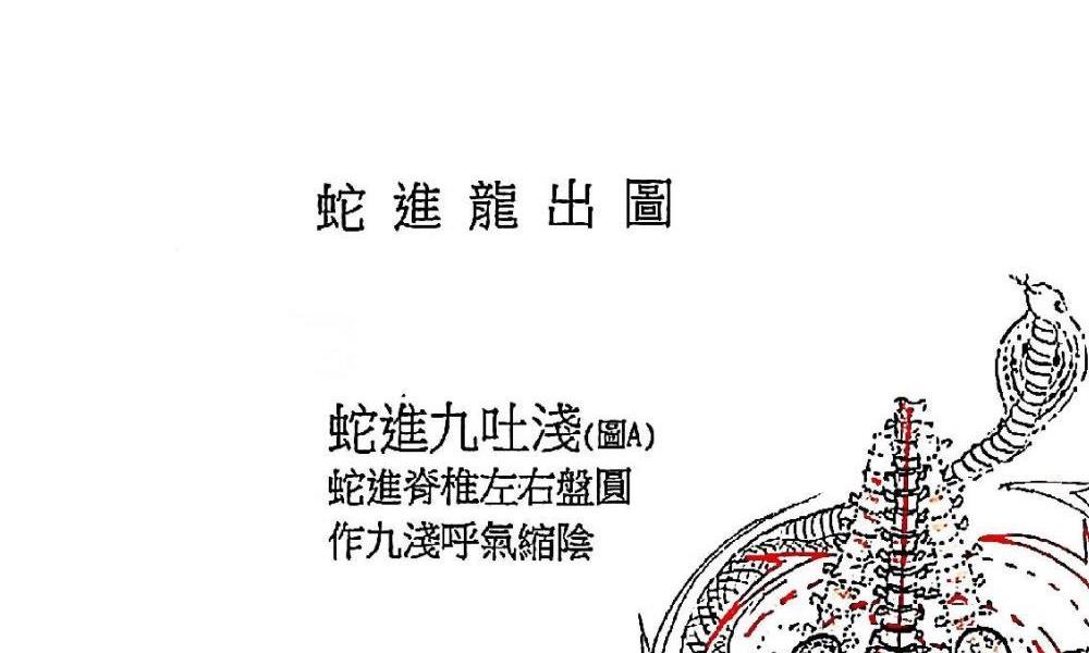 阴阳合道男女双修71页电子版 高端法本